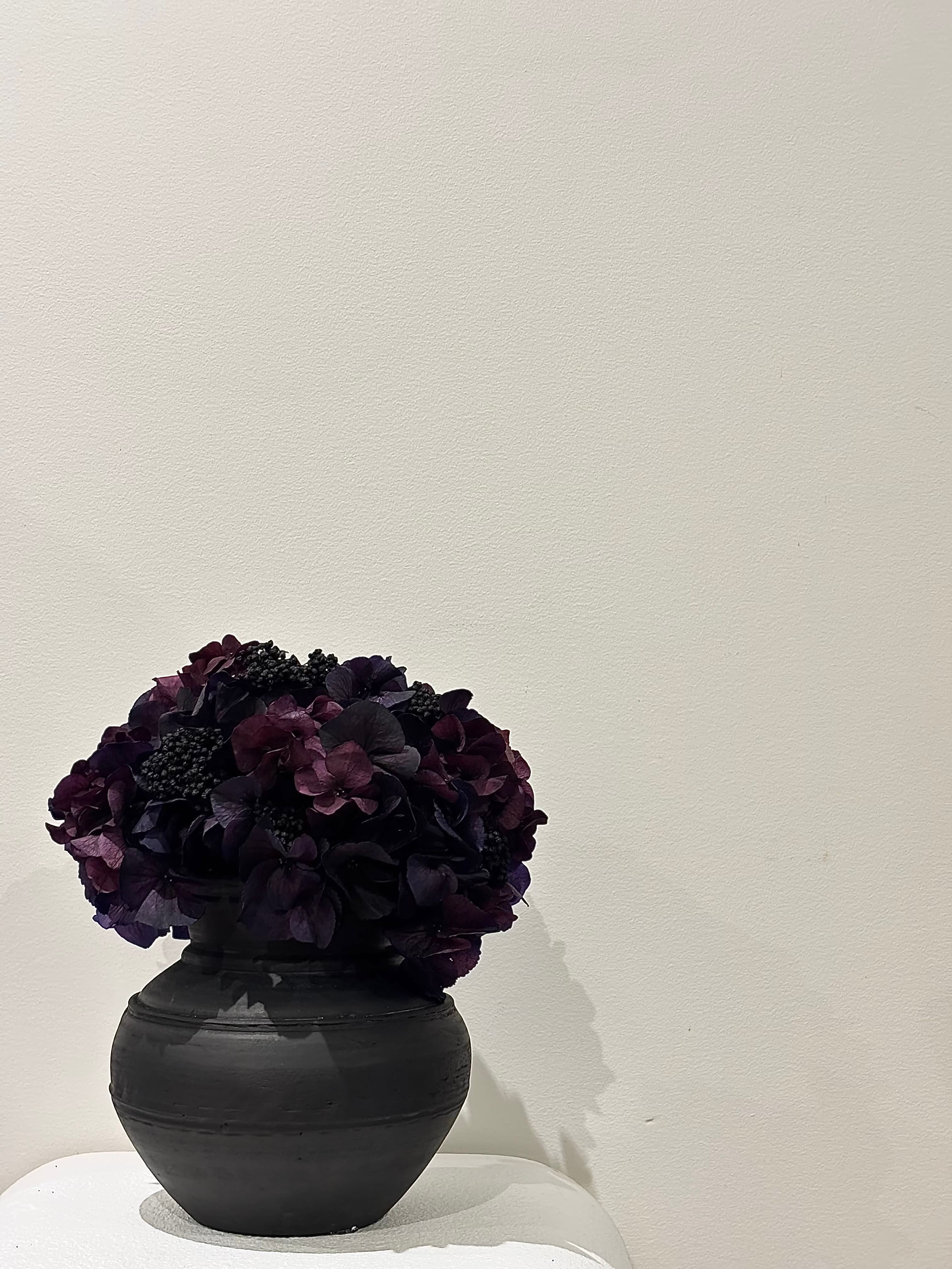 Midnight Hydrangea Cluster